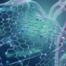 Hydrogels in Biomedical Applications featured image