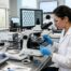 First Graphene Stock Price