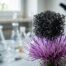 Graphene Aerogel